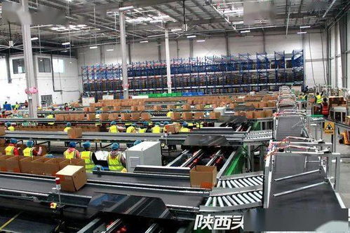 西安聯(lián)手阿里破解農(nóng)產(chǎn)品倉(cāng)儲(chǔ)物流難題，西北最大數(shù)字農(nóng)業(yè)倉(cāng)配體系正式啟用